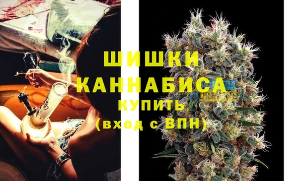 гидра Касимов