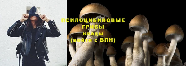 прущий лед Киренск